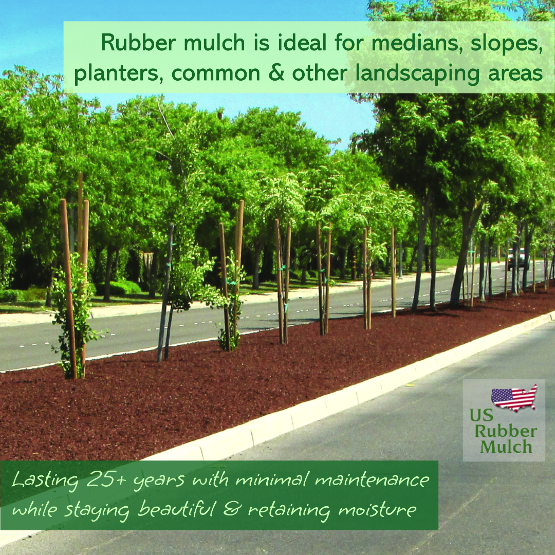 Current playground safety standards are unsafe