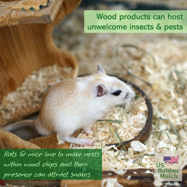 Wood chips attract insect & pests