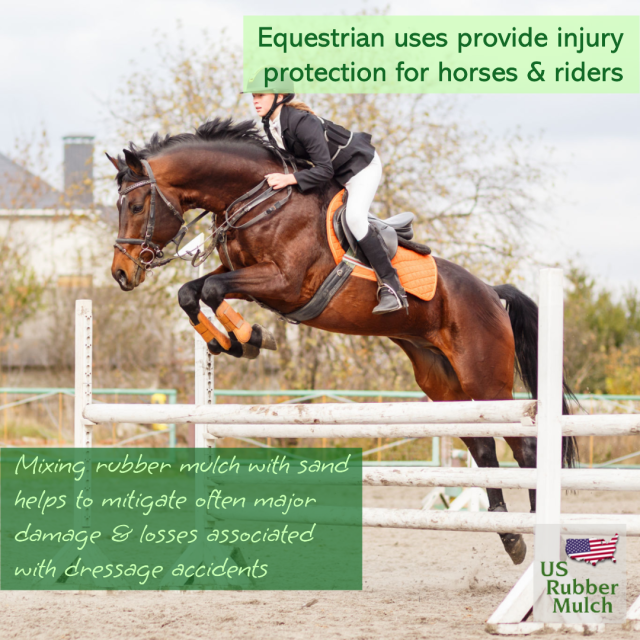 Equestrian arena safety