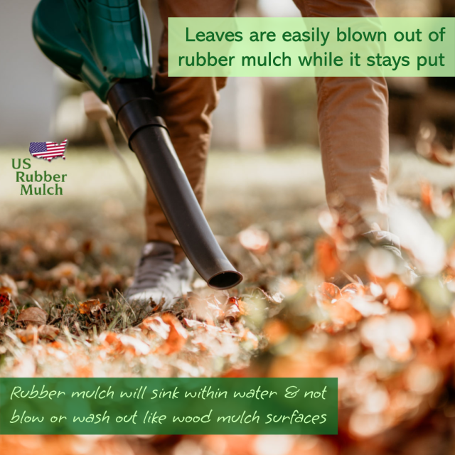 Wood chips attract insect & pests